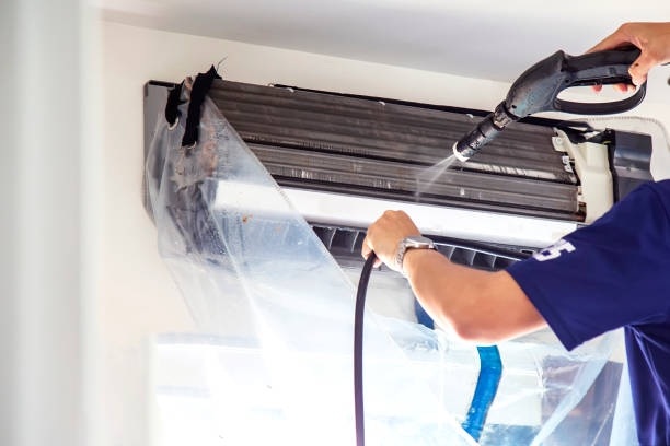 Best Air Duct Mold Removal  in Flemington, GA
